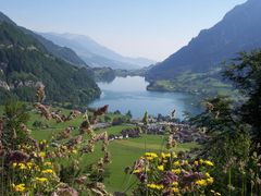 topfoto_lungernsee_100_2762.jpg